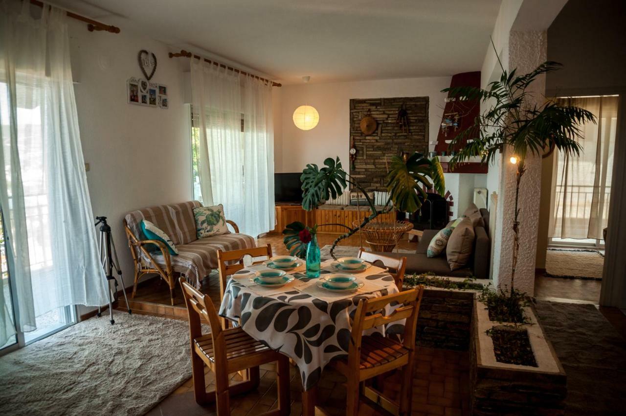 Paradise View Apartment PalaiónTsiflíkion 외부 사진
